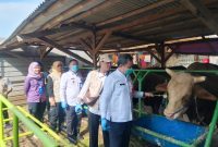 Petugas DPKP Kabupaten Tangerang melakukan pemeriksaan mulut, kaki, dan kuku hewan kurban guna memastikan bebas dari Penyakit Mulut dan Kuku.(Dok: Istimewa)