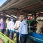 Petugas DPKP Kabupaten Tangerang melakukan pemeriksaan mulut, kaki, dan kuku hewan kurban guna memastikan bebas dari Penyakit Mulut dan Kuku.(Dok: Istimewa)