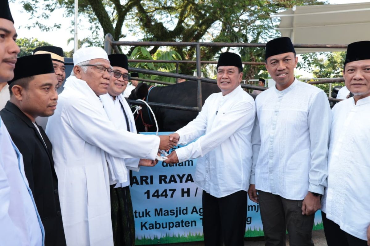 Bupati Tangerang Moch. Maesyal Rasyid menyerahkan secara simbolis sapi kurban bantuan Presiden RI Prabowo Subianto di Masjid Agung Al-Amjad, Tigaraksa. (Foto:Istimewa)