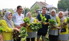 Perkuat Ketahanan Pangan, Bupati Tangerang Janji Tingkatkan Infrastruktur Pertanian