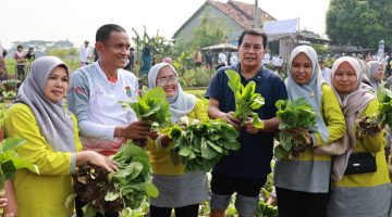 Perkuat Ketahanan Pangan, Bupati Tangerang Janji Tingkatkan Infrastruktur Pertanian