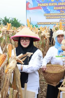 Wabup Tangerang Hadiri Panen Jagung Serentak Kuartal II Polres Metro Tangsel